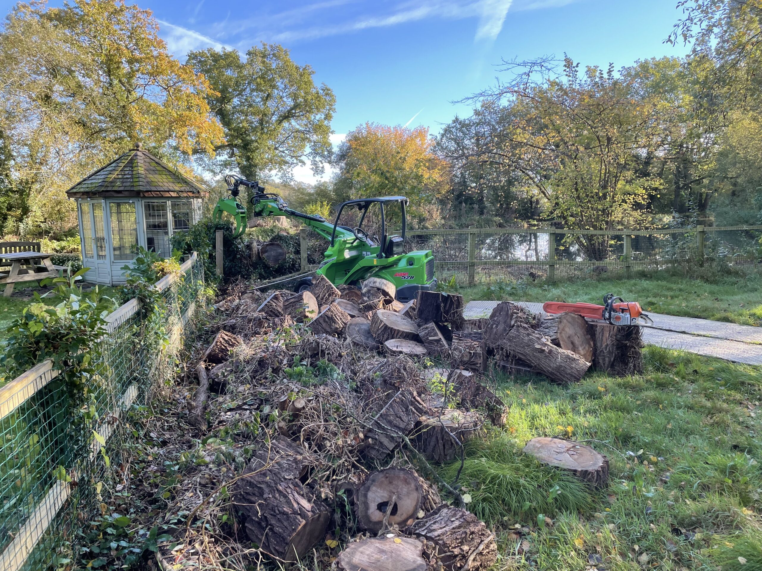Tree-removal-machinery